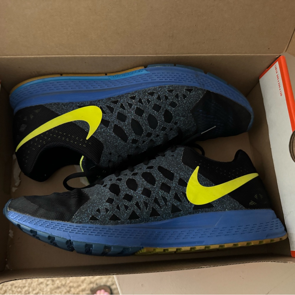 Nike Pegasus Training Shoes